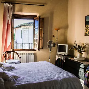 Sunflower , Palaia Italia